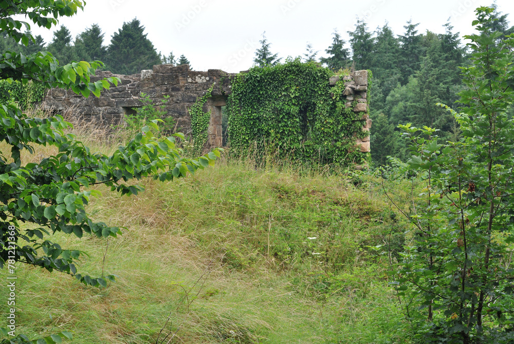 Old Overgrown Ruined Stone Building on Hill Obscured by Grass