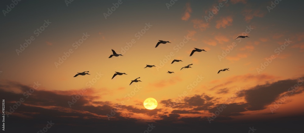 Birds soaring across a fiery sunset sky