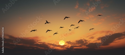 Birds soaring across a fiery sunset sky © vxnaghiyev