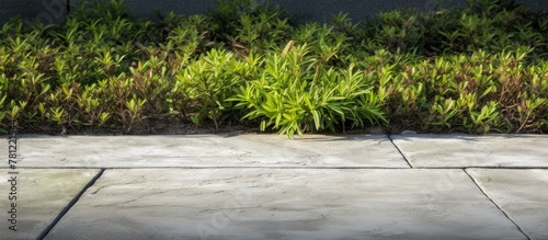 Sidewalk planter wall closeup view photo