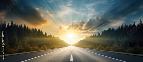 Sunlight filtering through ...