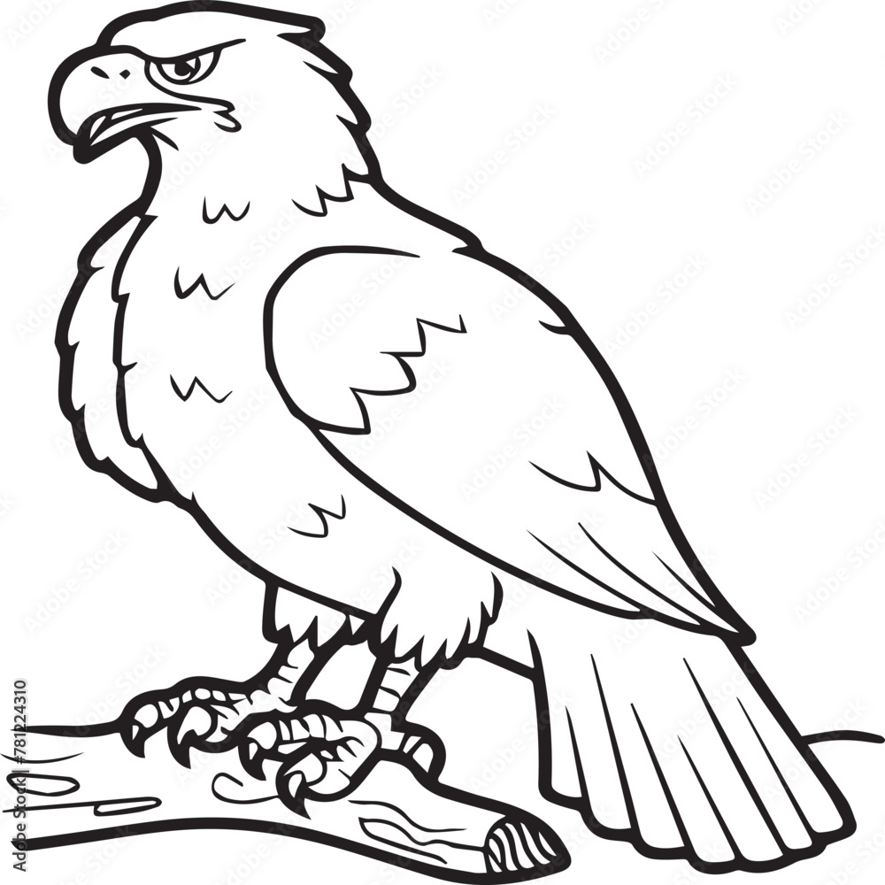 Obraz premium Eagle coloring pages. Eagle bird outline vector for coloring book