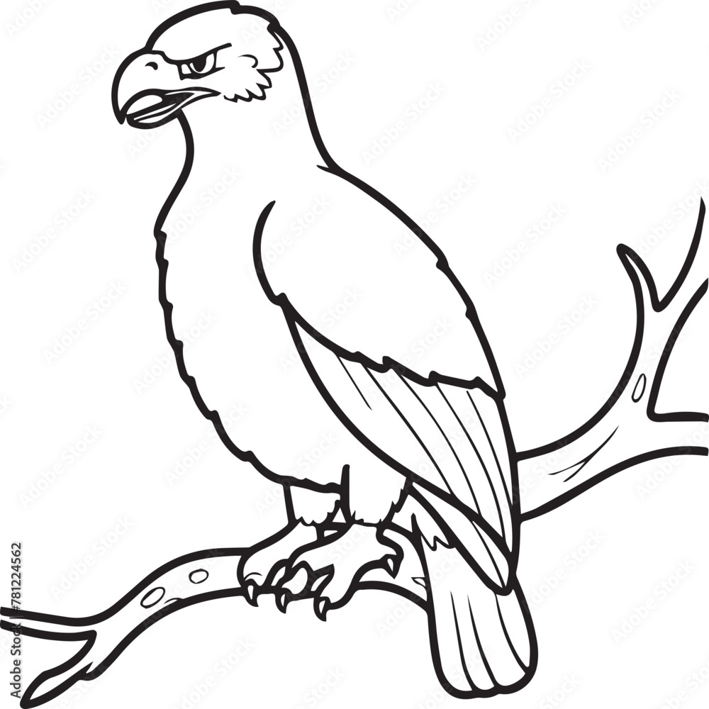 Fototapeta premium Eagle coloring pages. Eagle bird outline vector for coloring book