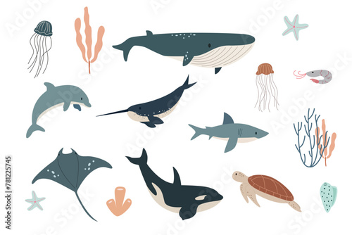 Vector flat illustration isolated on white background, sea animals set, vector whale, shark, narwhal, jellyfish, dolphin, stingray, turtle and shrimp