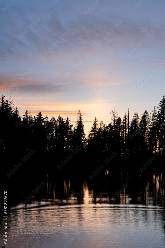 Fototapeta premium Vertical shot of silhouettes of trees by the lake