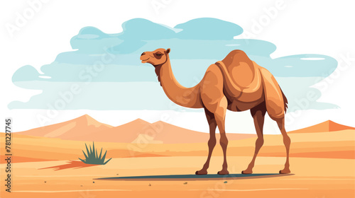 Illustration of a camel in the desert 2d flat carto