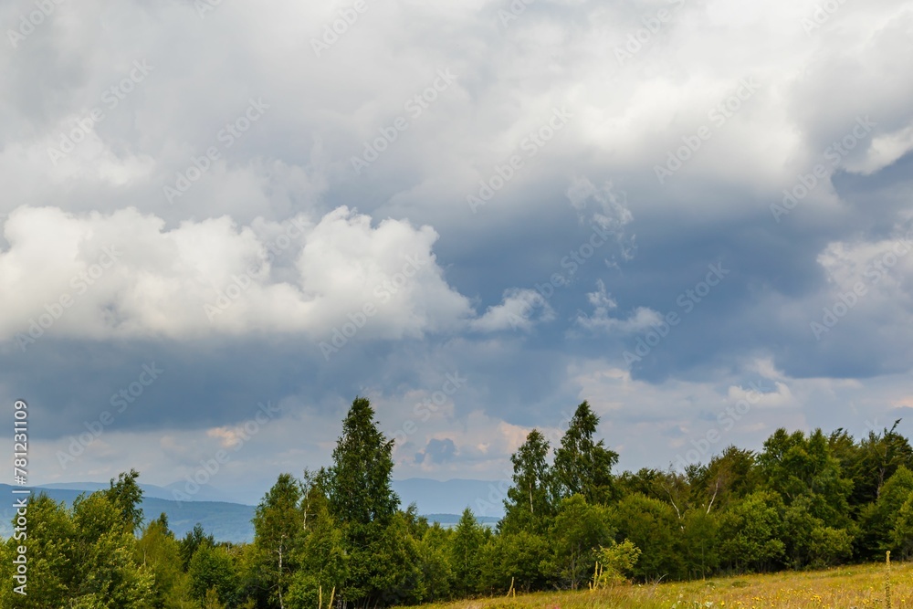 Beautiful cloudscape over green trees and a meadow