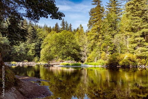 Fototapeta Naklejka Na Ścianę i Meble -  Beautiful view of a forest and a small lake