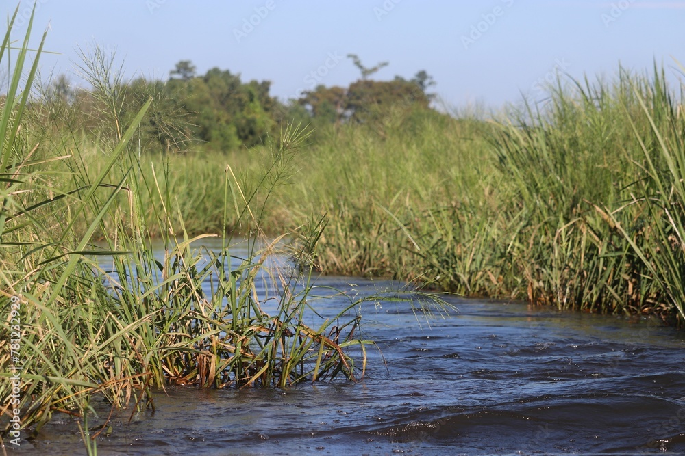 Small river in the middle of a meadow Small river in the middle of a meadow