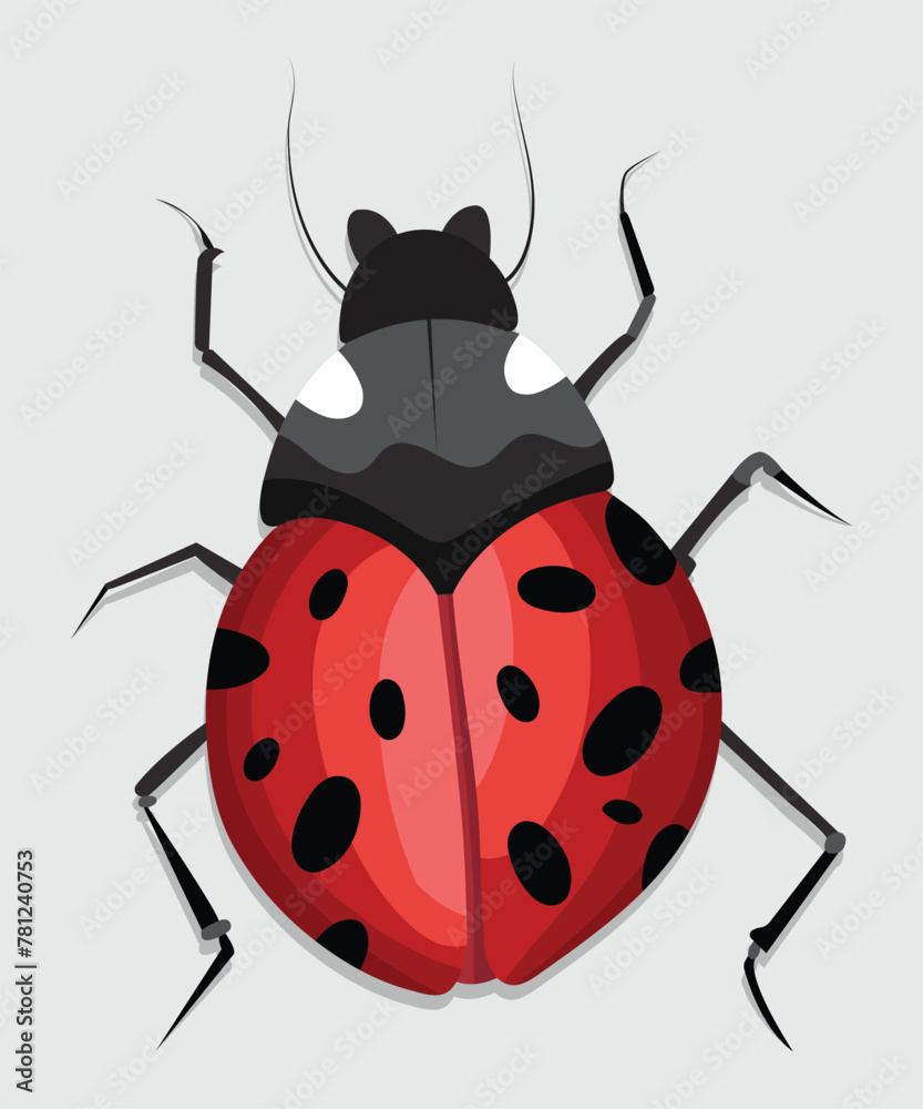 Lady Bug Art & Illustration Lady Bug Art & Illustration