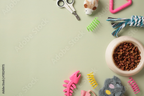 Pet shop banner template with copy space. Flat lay composition with bowl of dry food, pet toys and supplies on green background.