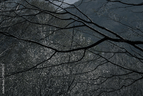 paesaggio grigio © Lorenzo
