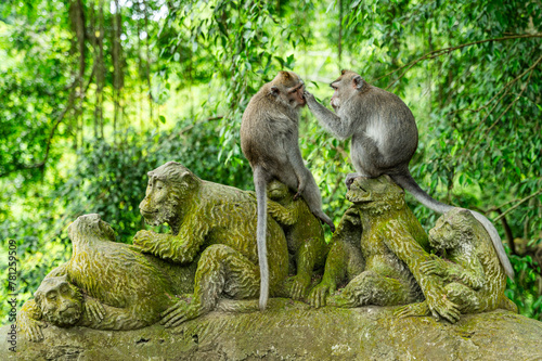 Playful monkeys grooming on a statue in Bali