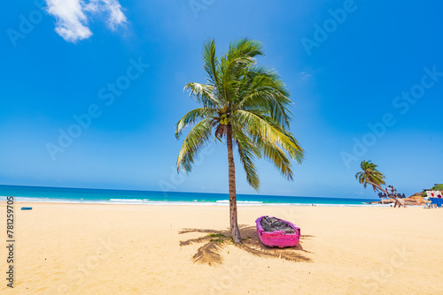 Beautiful view of coconut tree beach at Daidai Island  Lingshui  Hainan  China