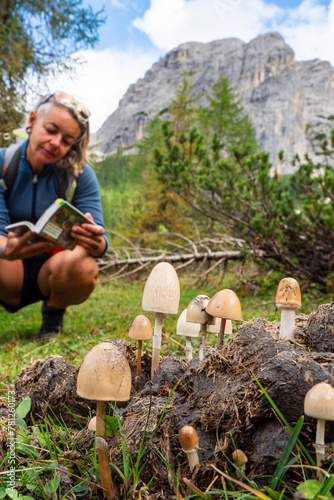 Female mushroom forager foraging for wild edible mushrooms with Mycelium and fungi identification book   photo