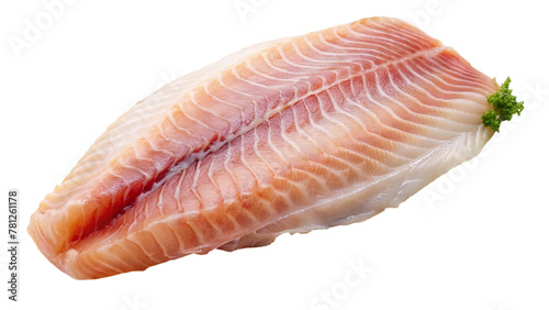 Raw fresh fish fillet isolated on transparent background