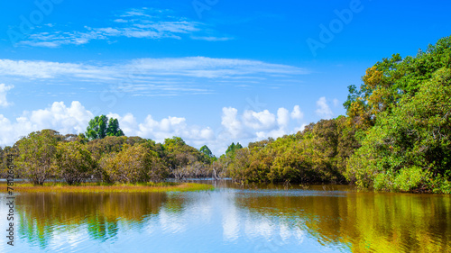 Beautiful landscape with a tropical lake