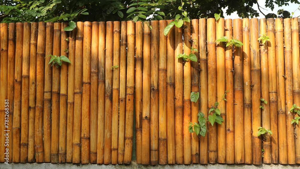 Obraz premium Bamboo Fence with Lush Green Plants