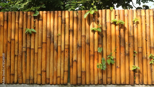 Bamboo Fence with Lush Green Plants