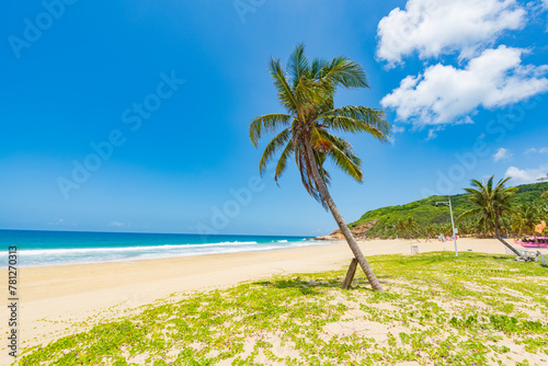 Fototapeta Naklejka Na Ścianę i Meble -  Beautiful view of coconut tree beach at Daidai Island, Lingshui, Hainan, China