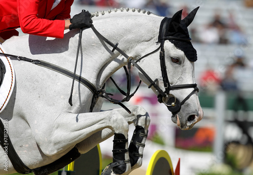 horse jump and rider at dressage at horse jumping event