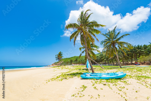 Beautiful view of coconut tree beach at Daidai Island  Lingshui  Hainan  China