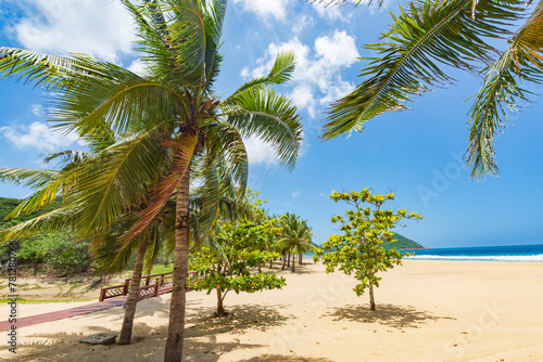 Coconut tree style on summer beach at Daidai Island  Lingshui  Hainan  China