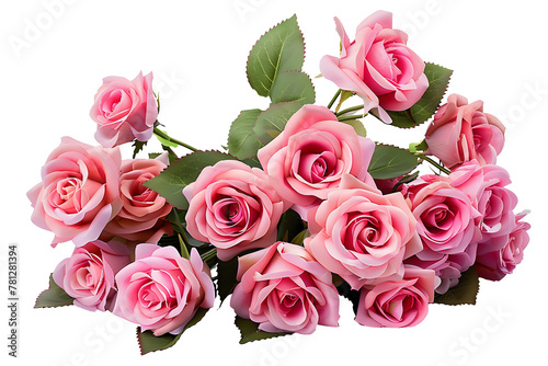Set of beautiful pink roses in full bloom  with soft petals and green leaves  cut out