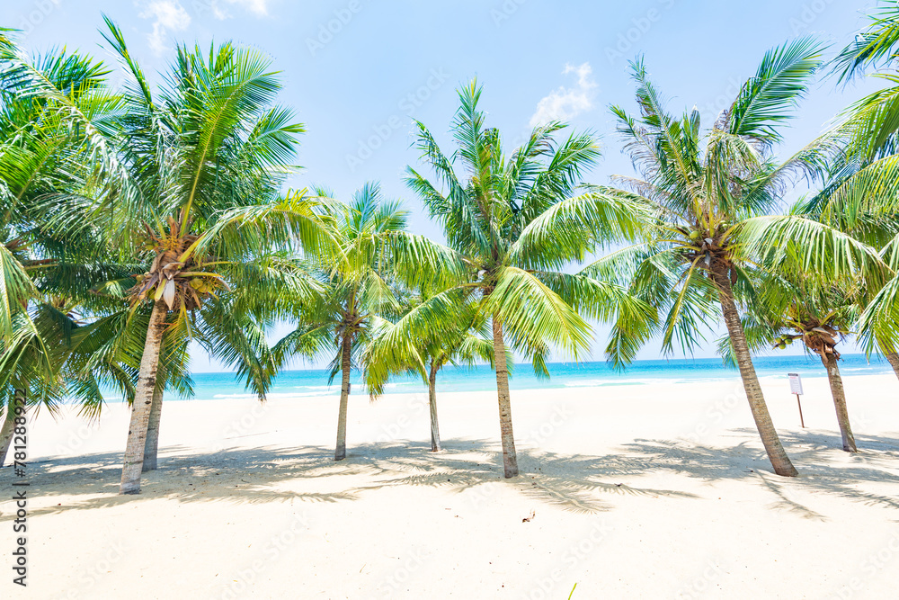 Coconut tree style on summer beach at Daidai Island, Lingshui, Hainan, China