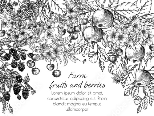 Vector frame blooming garden with harvest. Cherries, apples, blackberries, raspberries in engraving style