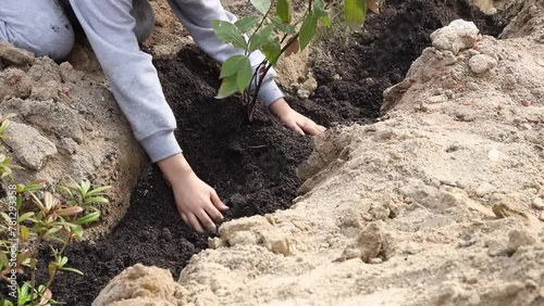 group of unrecognizable school kids planting tree - concept of environmental conservation, volunteers and sustainable lifestyle