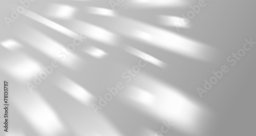 Glare from the sun's rays on the wall. Blurred shadows from leaves and plants in the room. Soft overlay of natural light. Abstract background for product presentation.Natural light layout.