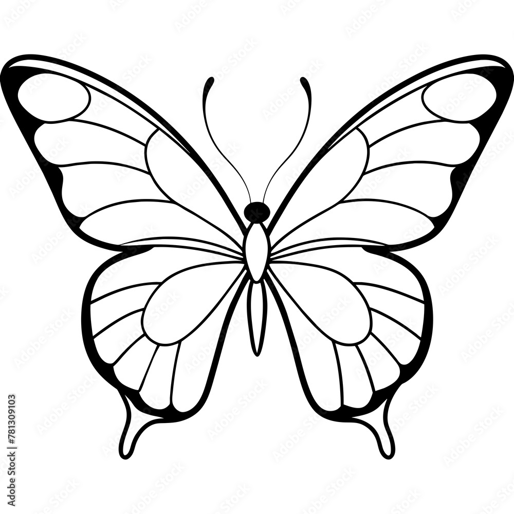 Butterfly vector illustration with line art..
Butterfly vector illustration with line art..