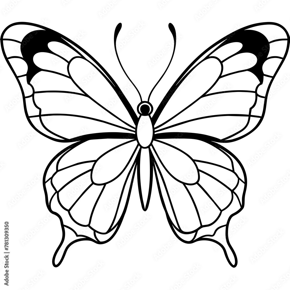 Fototapeta premium Butterfly vector illustration. 