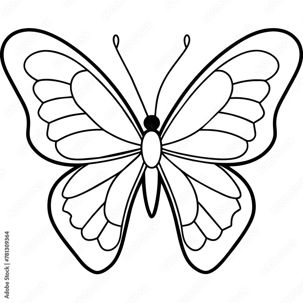     Butterfly vector illustration.
