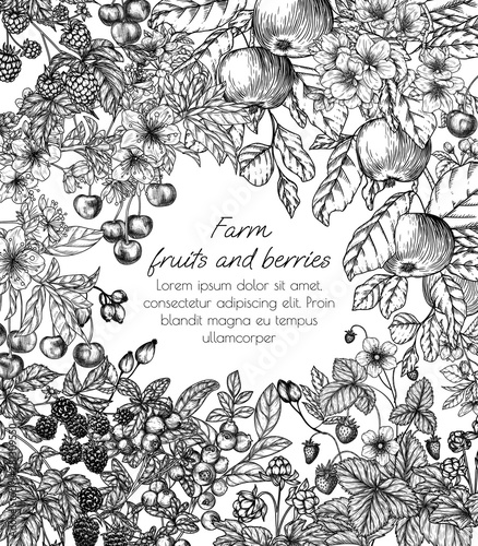 Vector frame blooming garden with harvest. Cherries, apples, rose hips, raspberries, blackberries, cloudberries, lingonberries, blueberries in engraving style