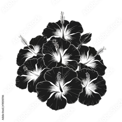 Vector set of black silhouettes of tropical hibiscus flowers isolated on a white background.