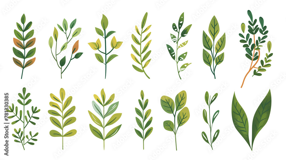collection of illustrated foliage leaves on transparent background png, variety of shapes and shades