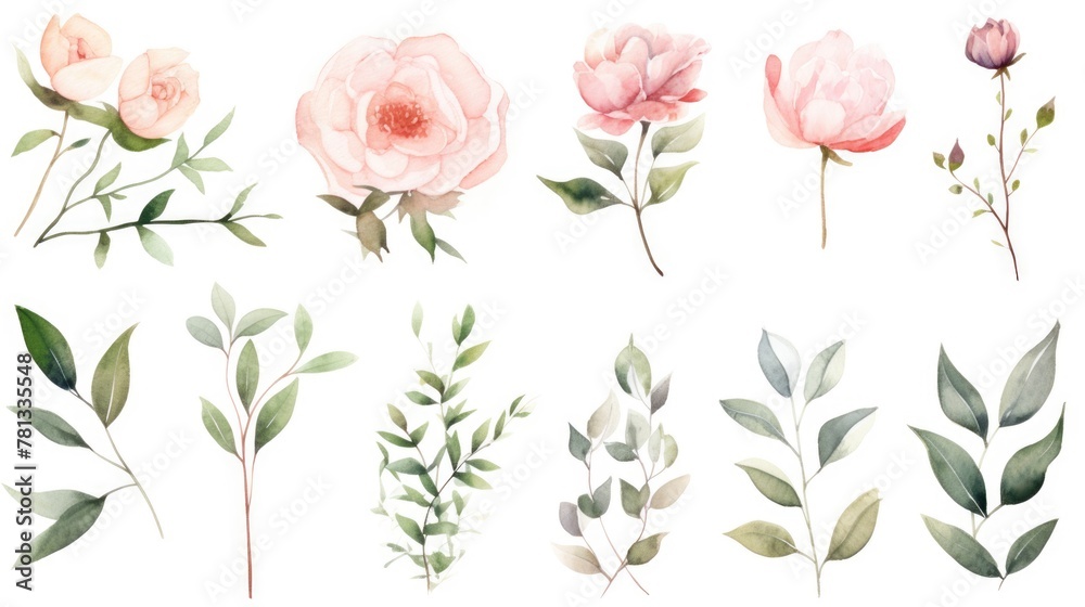 A collection of watercolor flowers and leaves