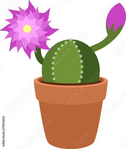 A houseplant, flowering cactus in a clay pot. Vector on white background.