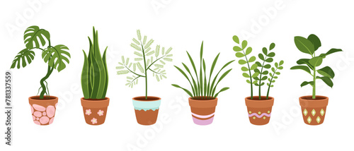 Set of large indoor plants in beautiful pots. Vector on white background.