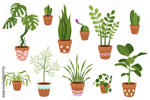 A set of potted indoor plants. Vector on white background.