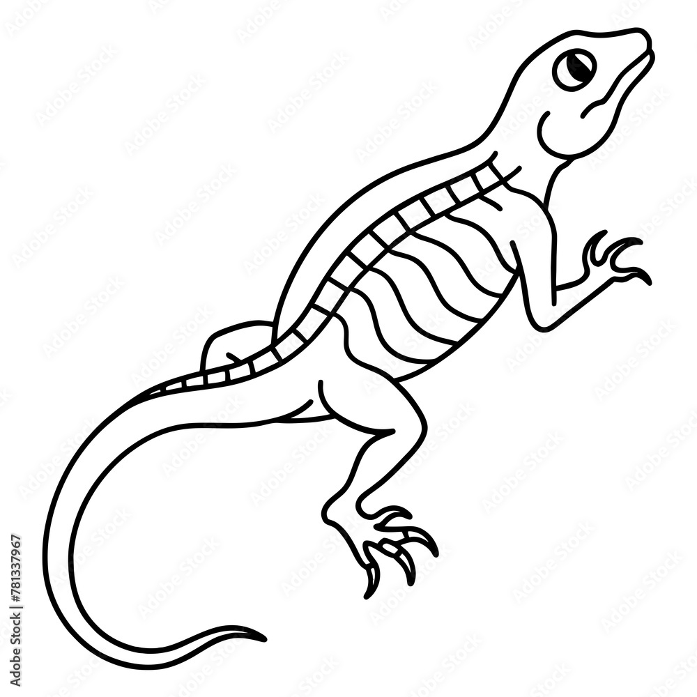 Fototapeta premium lizard on a branch