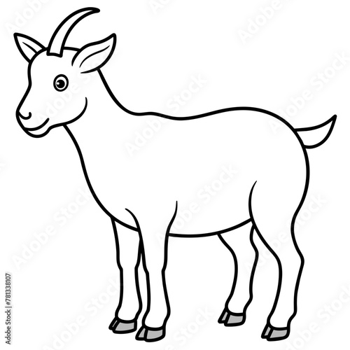 goat isolated on white