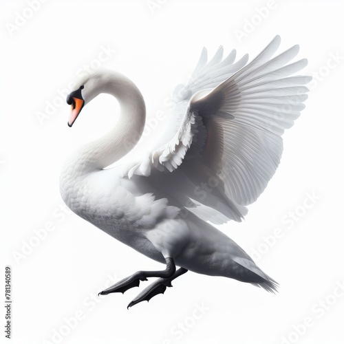 Image of isolated swan against pure white background, ideal for presentations
