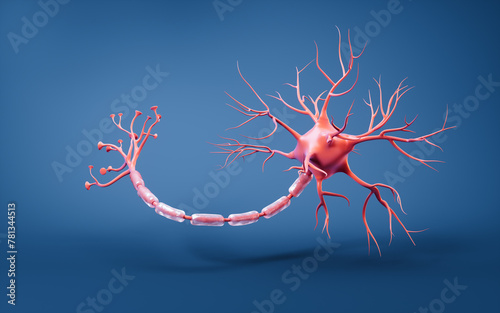 Fototapeta Naklejka Na Ścianę i Meble -  Biology nerve cell with biomedicine concept, 3d rendering.