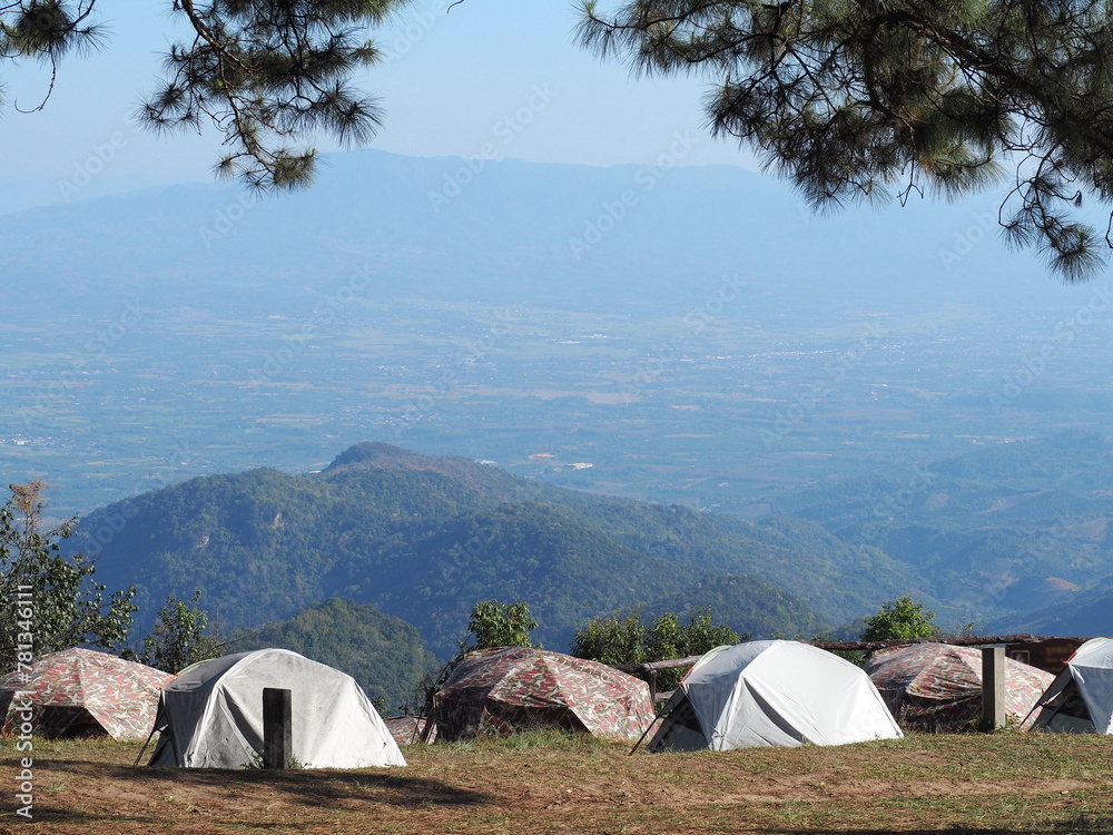 Beautiful view on top of the mountain with pine trees and tents. Many tent on a grass under the view big pine tree. Group tents camping on mountain peak in the tropical forest. tent for tourists
