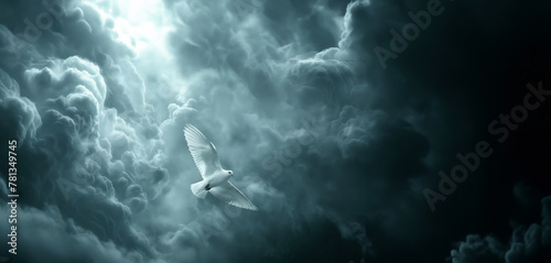 a white dove that flies among dark storm clouds, but a glimmer of light still falls on it, which adds to the association of peace and a bright future in difficult times