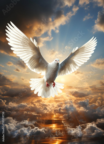 Dove in the air with wings wide open in front of the sun. Dove flying in the sky with light and rays