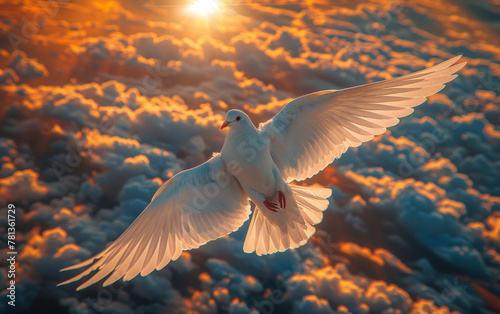 White dove flying in the sun rays among the clouds